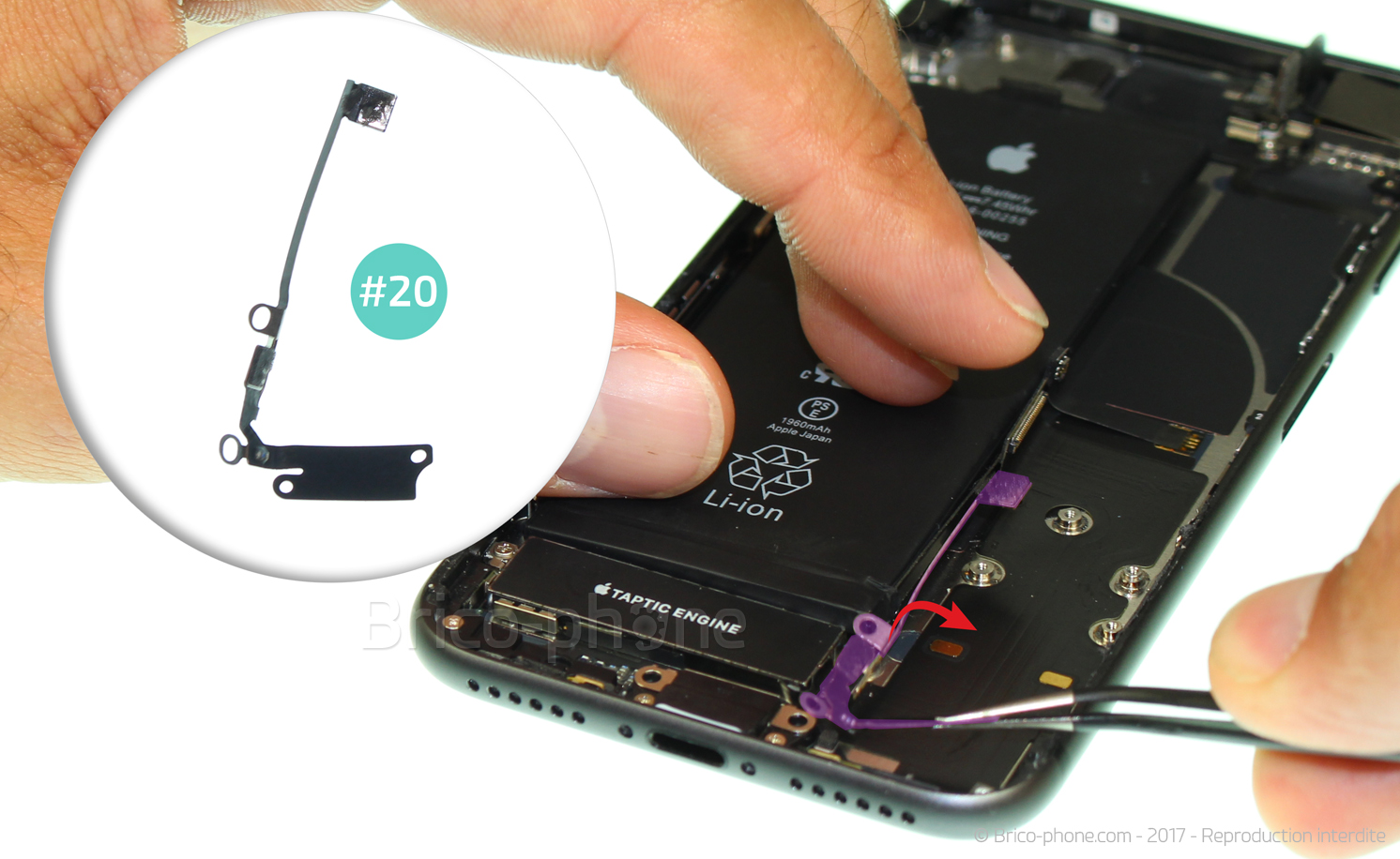 Changement du connecteur de charge sur iPhone 8 photo 1