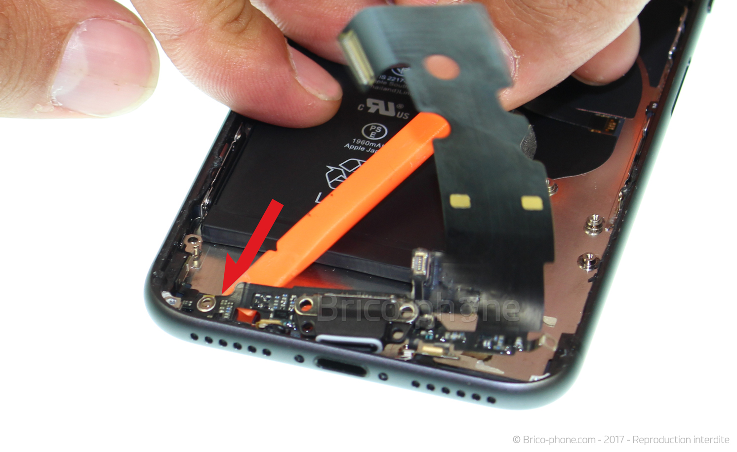Changement du connecteur de charge sur iPhone 8 photo 3