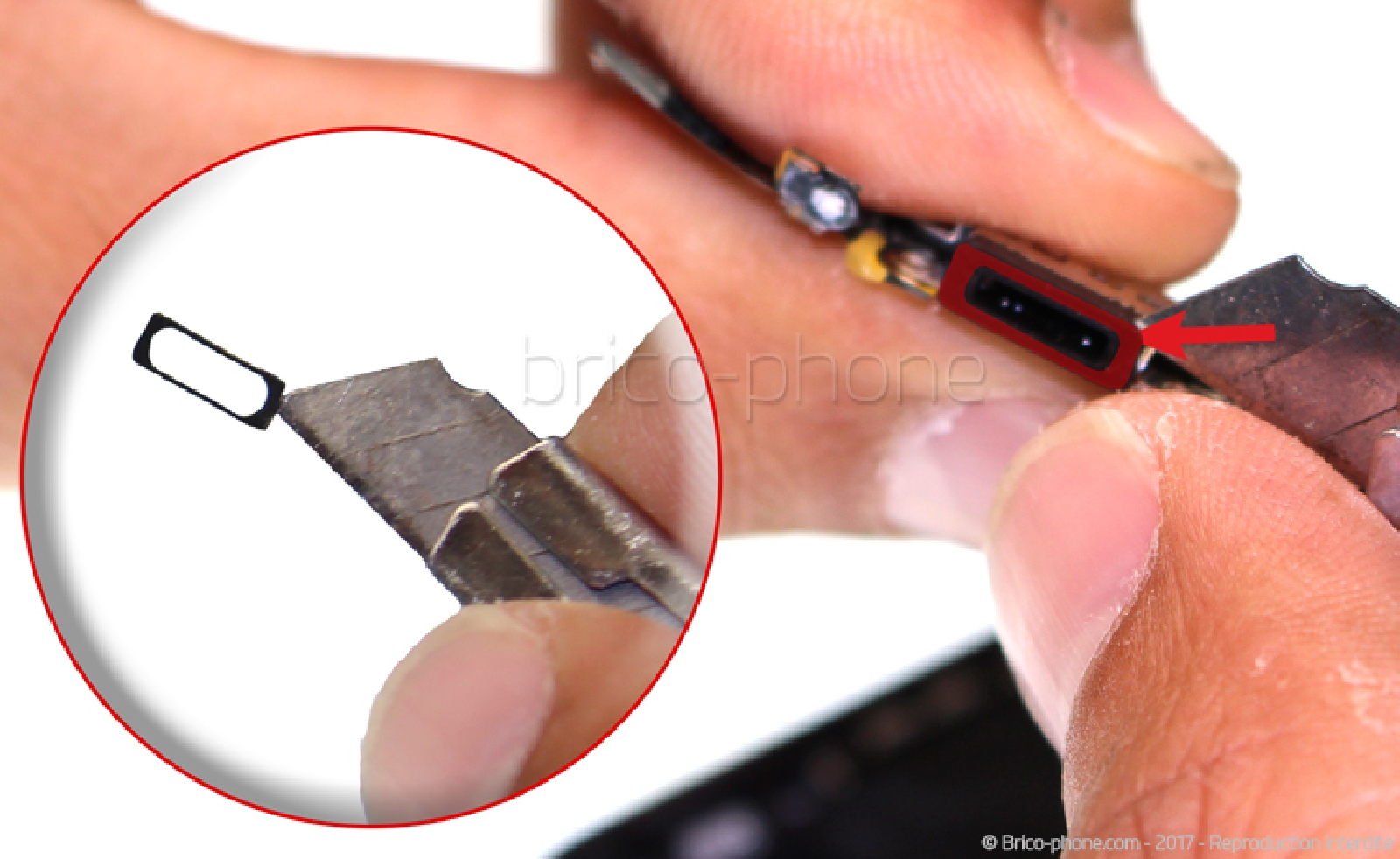 Changement du connecteur de charge sur iPhone 7 Plus photo 1