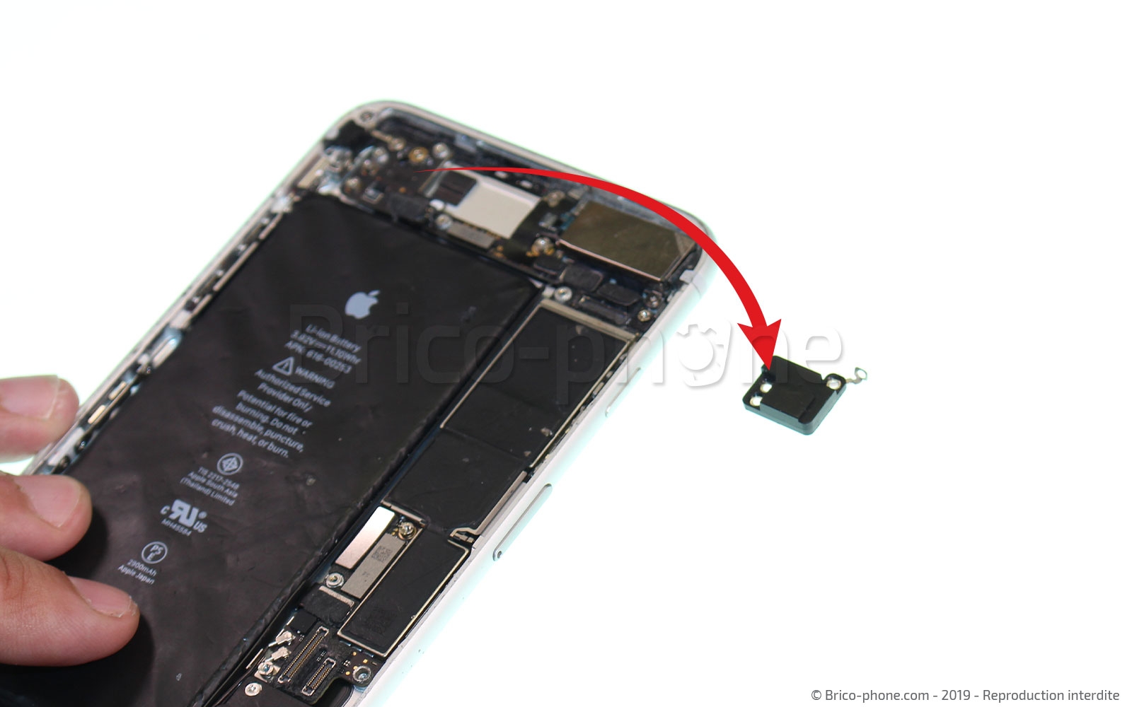 Changement du connecteur de charge sur iPhone 7 Plus photo 4