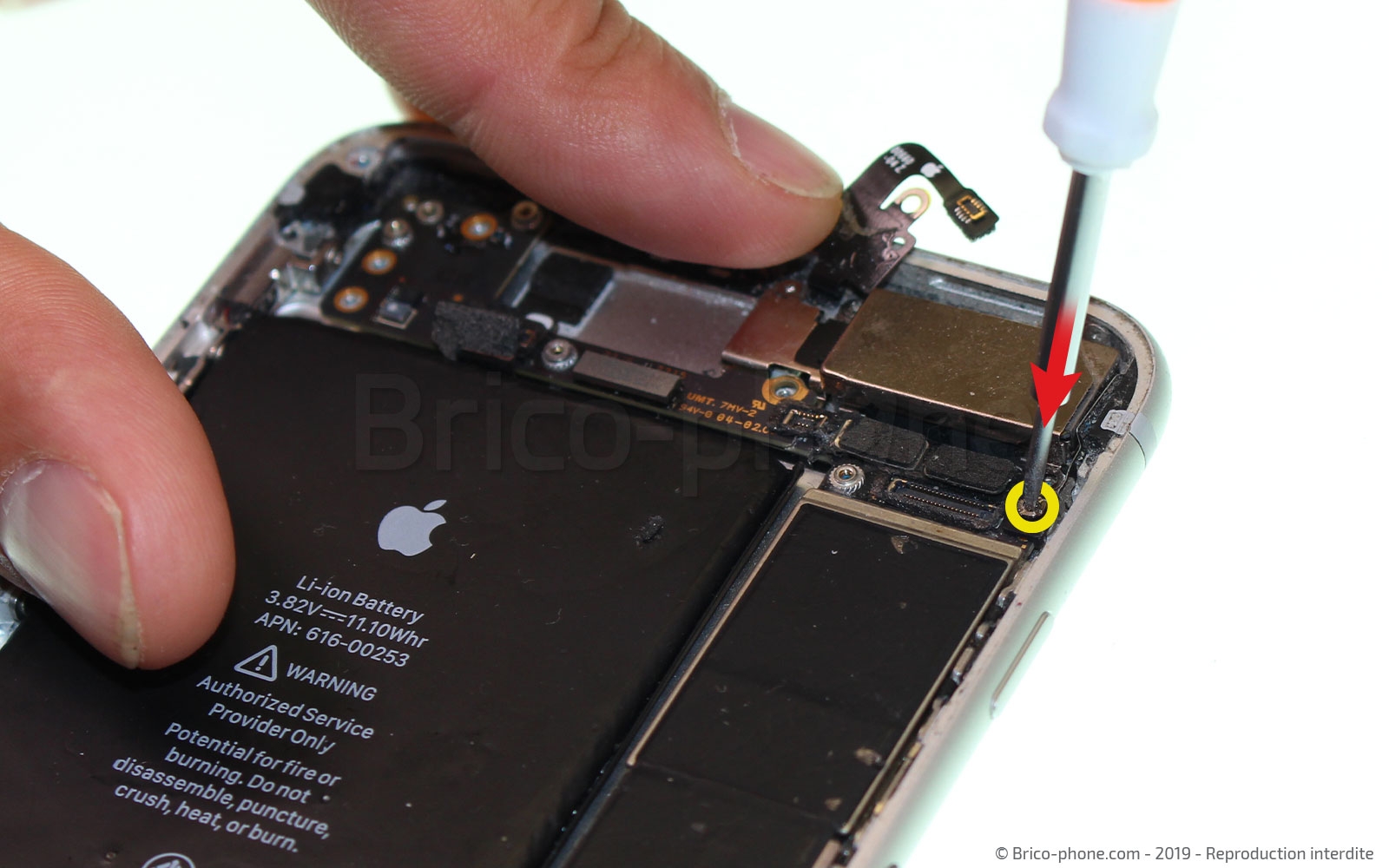 Changement du connecteur de charge sur iPhone 7 Plus photo 2