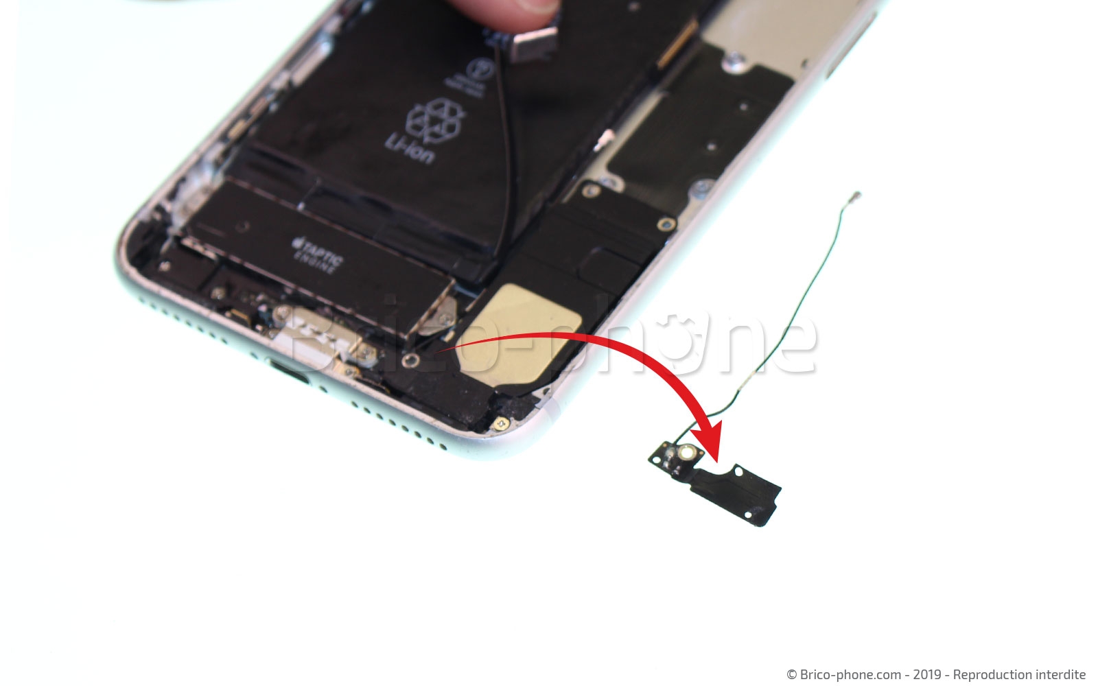 Changement du connecteur de charge sur iPhone 7 Plus photo 2