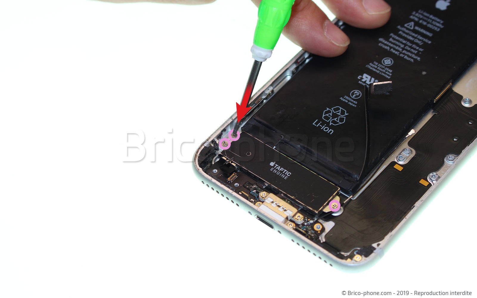 Changement du connecteur de charge sur iPhone 7 Plus photo 2