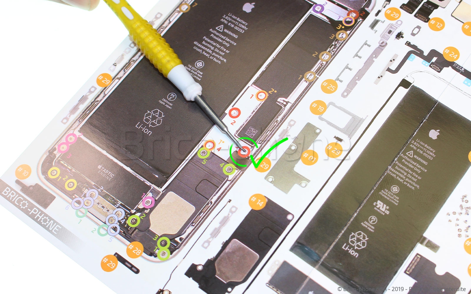 Changement du connecteur de charge sur iPhone 7 Plus photo 3