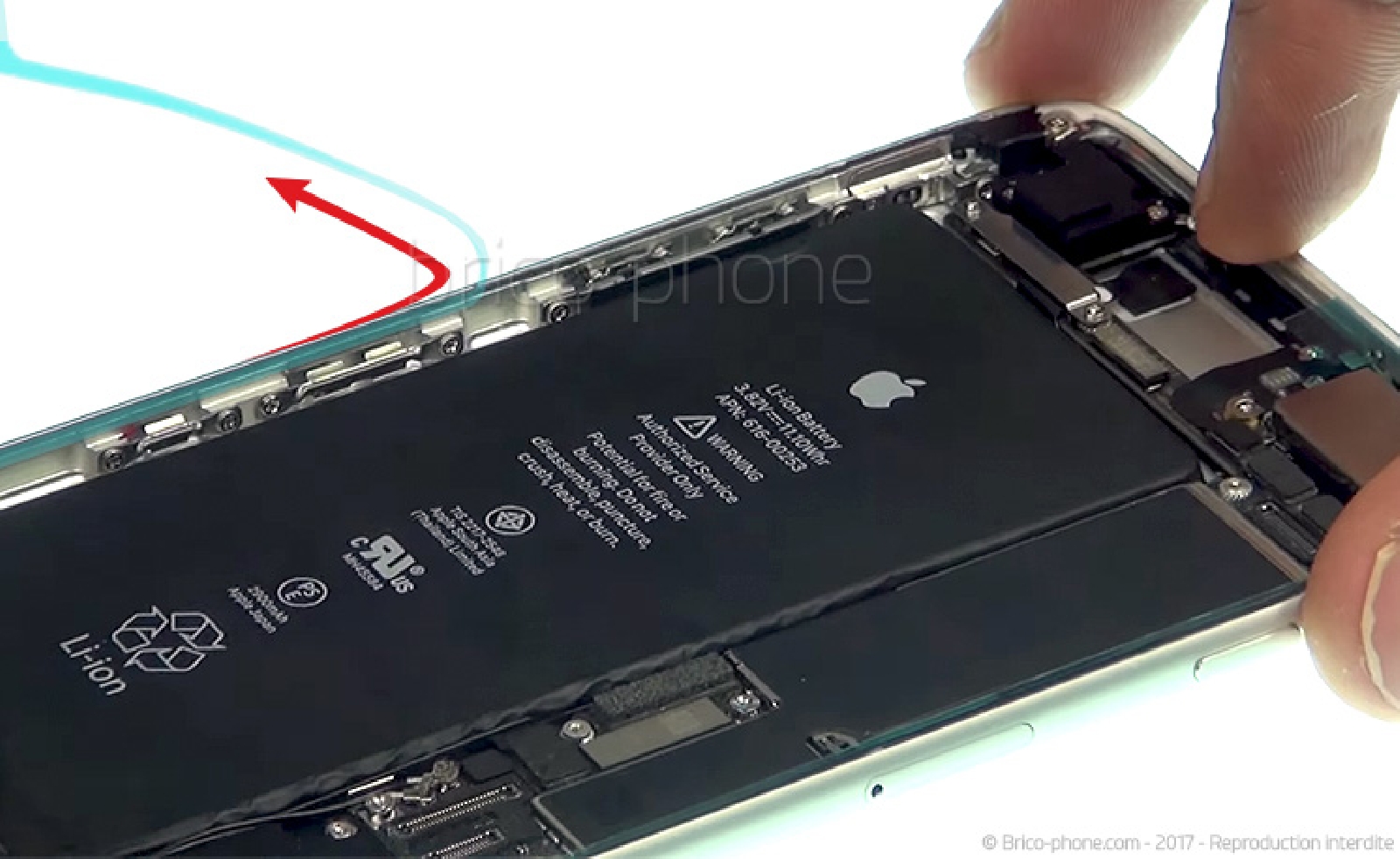 Changement d'écran (vitre+LCD) sans éléments prémontés sur iPhone 7 Plus photo 2