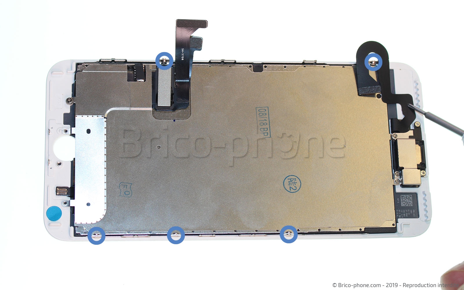 Changement d'écran (vitre+LCD) sans éléments prémontés sur iPhone 7 Plus photo 1