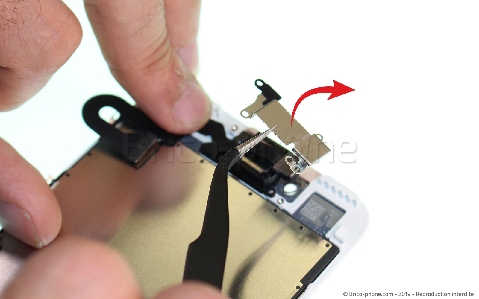 Changement d'écran (vitre+LCD) sans éléments prémontés sur iPhone 7 Plus photo 1