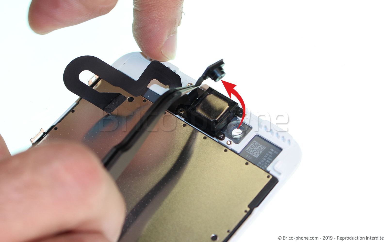 Changement d'écran (vitre+LCD) sans éléments prémontés sur iPhone 7 Plus photo 3