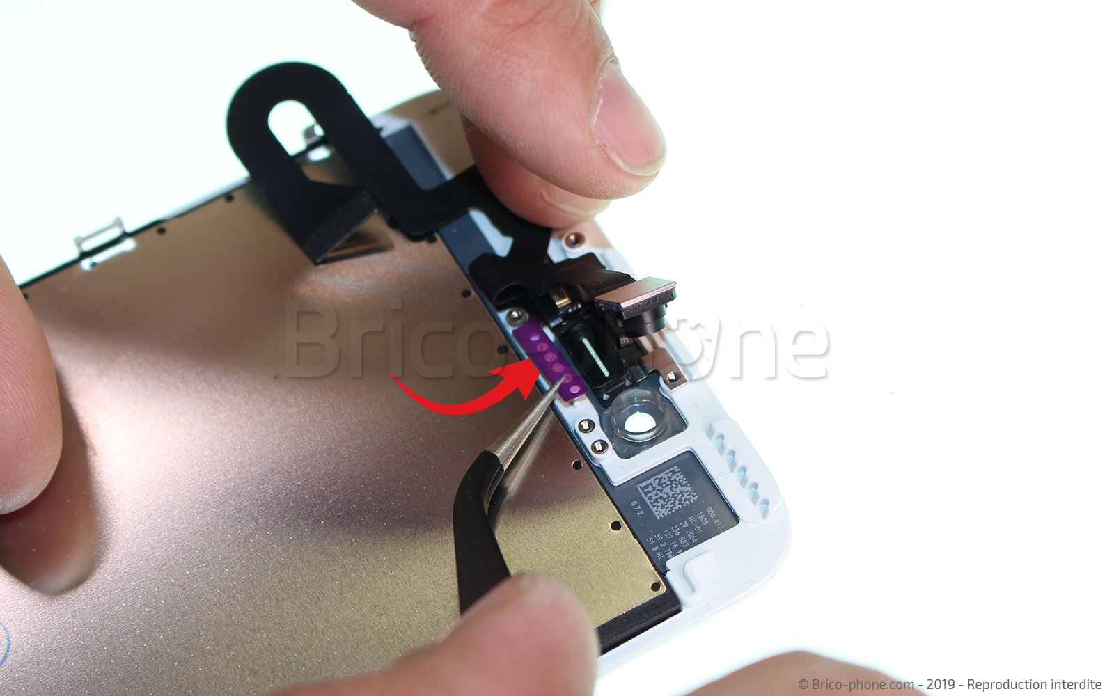 Changement d'écran (vitre+LCD) sans éléments prémontés sur iPhone 7 Plus photo 1