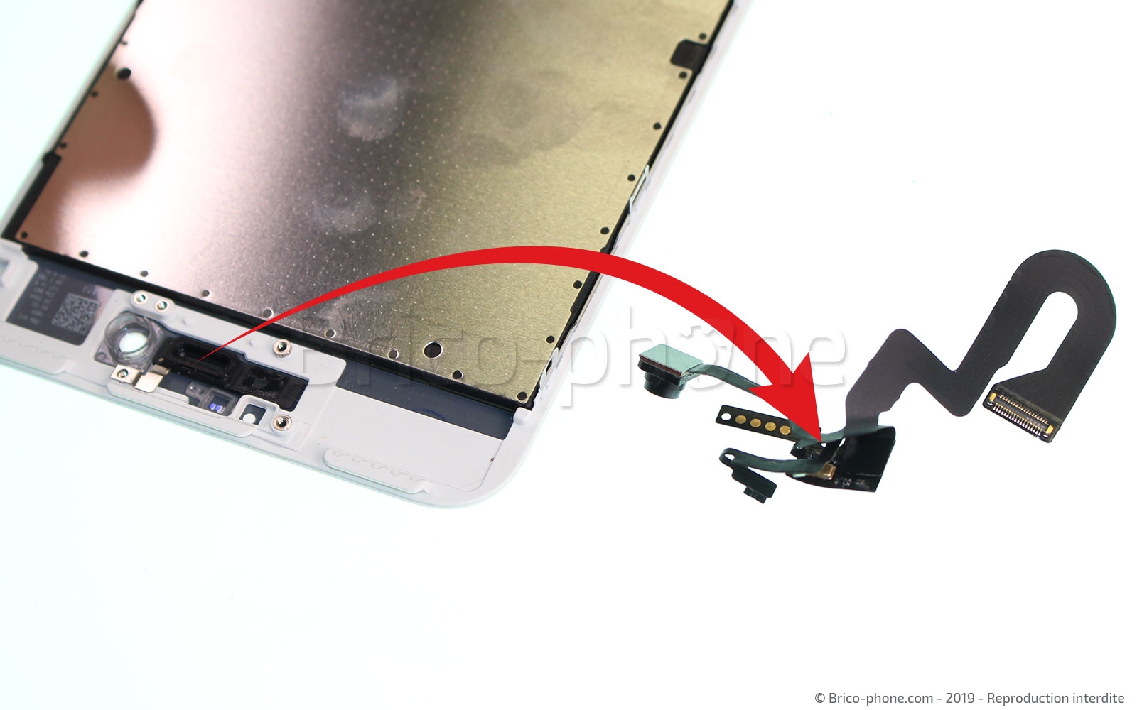 Changement d'écran (vitre+LCD) sans éléments prémontés sur iPhone 7 Plus photo 4