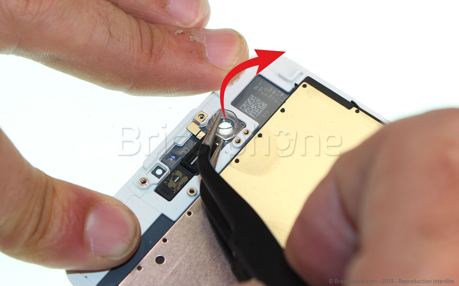 Changement d'écran (vitre+LCD) sans éléments prémontés sur iPhone 7 Plus photo 1