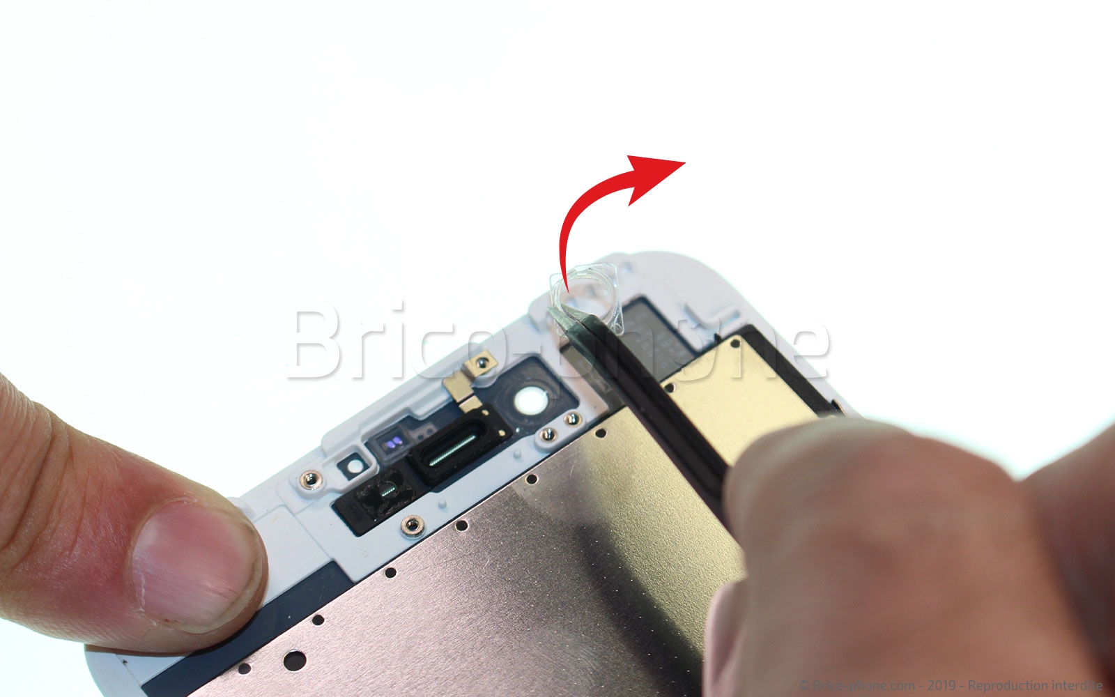 Changement d'écran (vitre+LCD) sans éléments prémontés sur iPhone 7 Plus photo 2