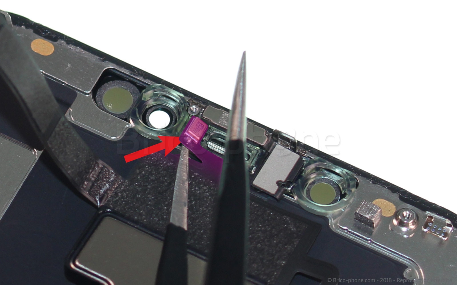 Démontage complet sur iPhone XS Max photo 1