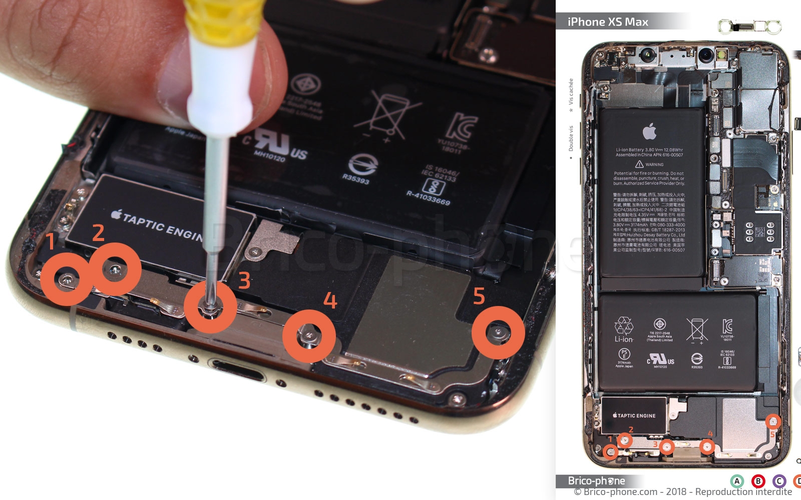 Démontage complet sur iPhone XS Max photo 1