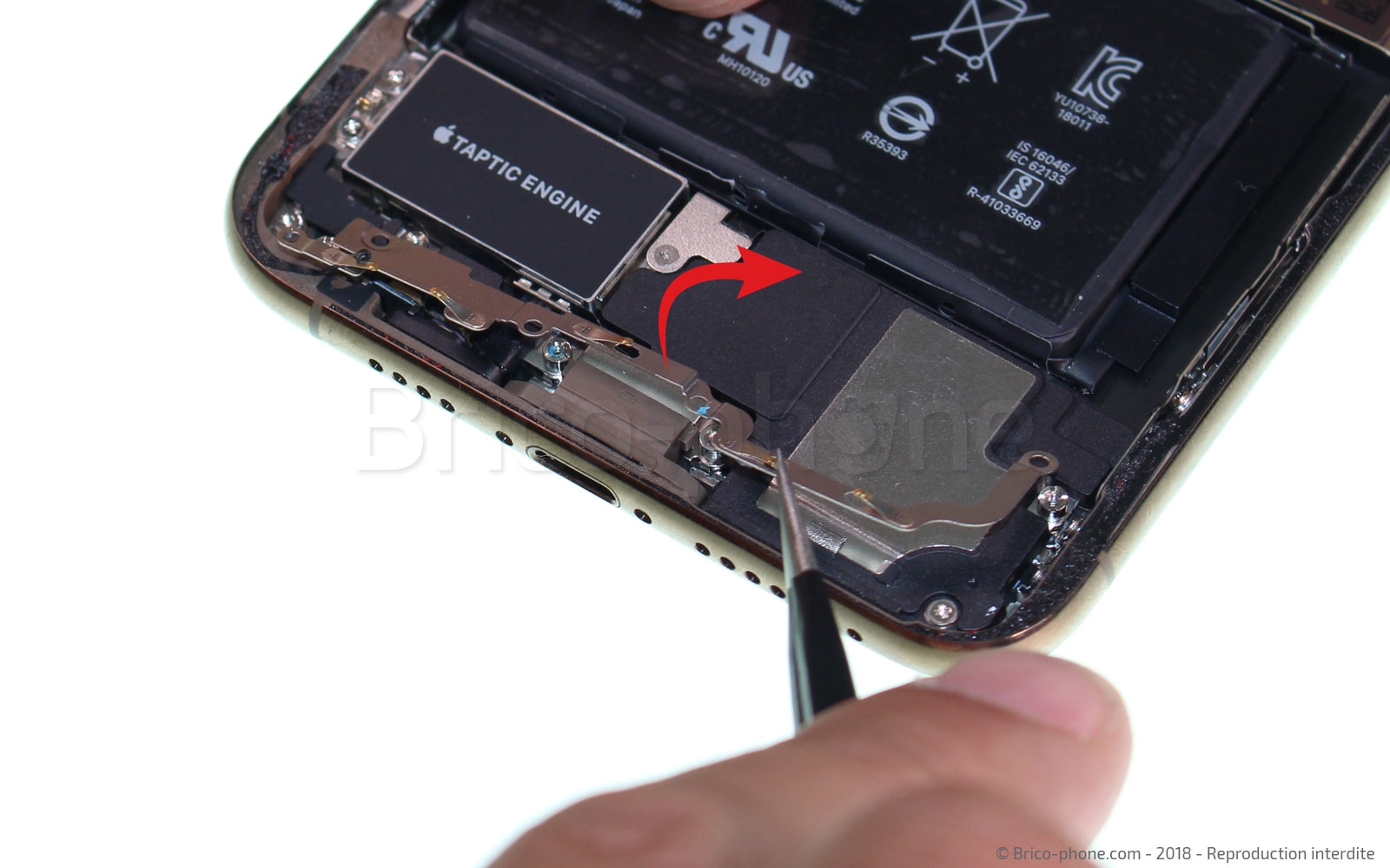 Démontage complet sur iPhone XS Max photo 2