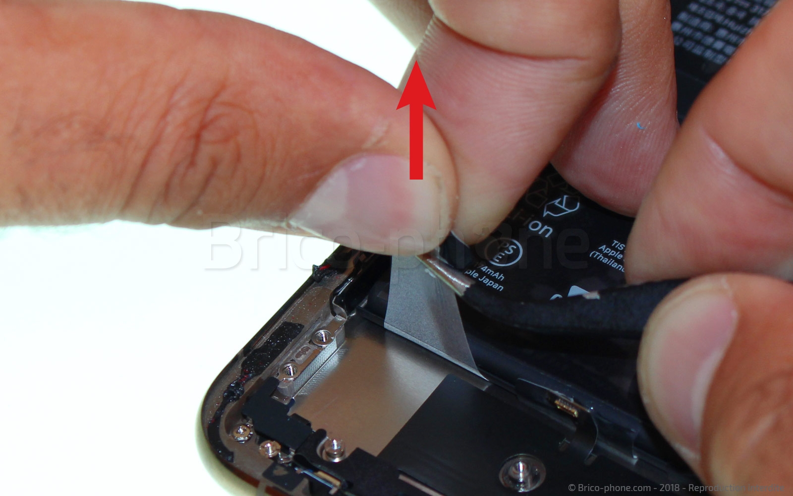 Démontage complet sur iPhone XS Max photo 3