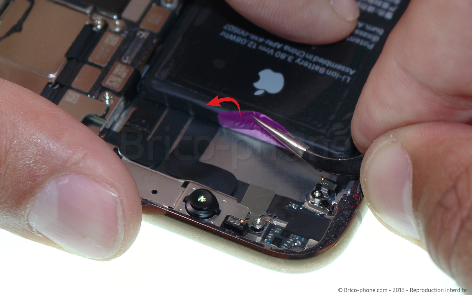 Démontage complet sur iPhone XS Max photo 1