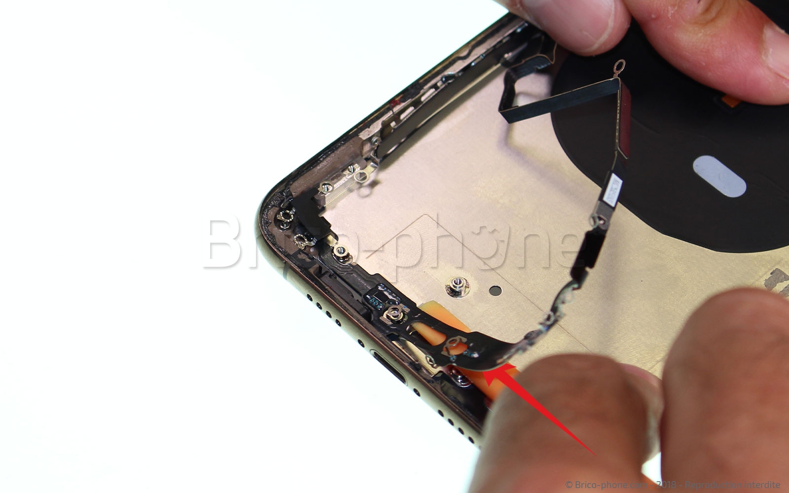 Démontage complet sur iPhone XS Max photo 2
