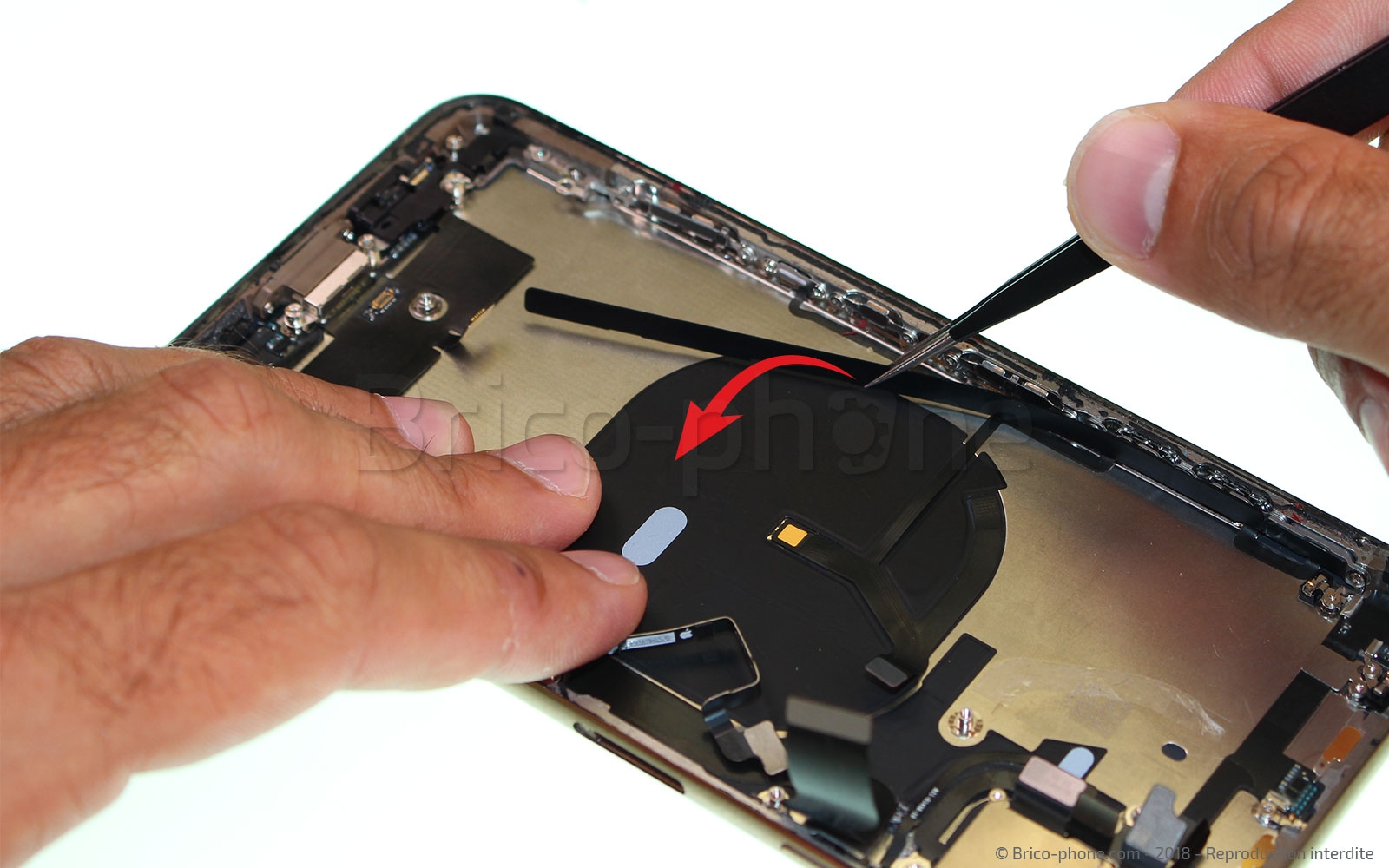 Démontage complet sur iPhone XS Max photo 1