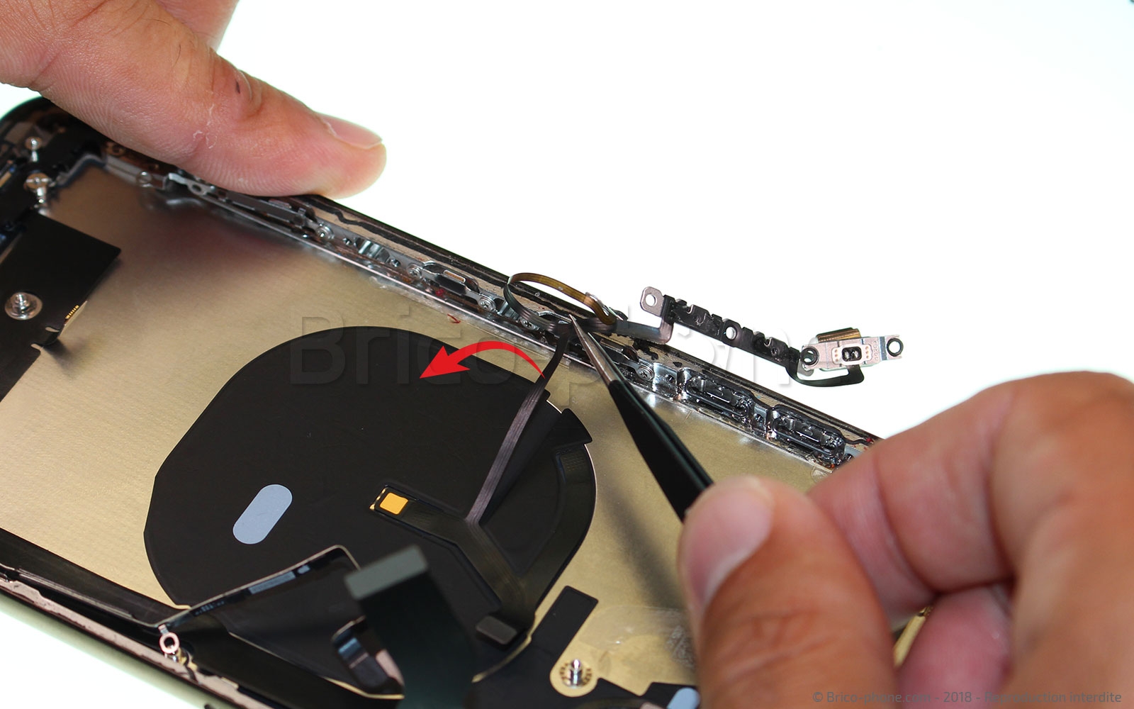 Démontage complet sur iPhone XS Max photo 4