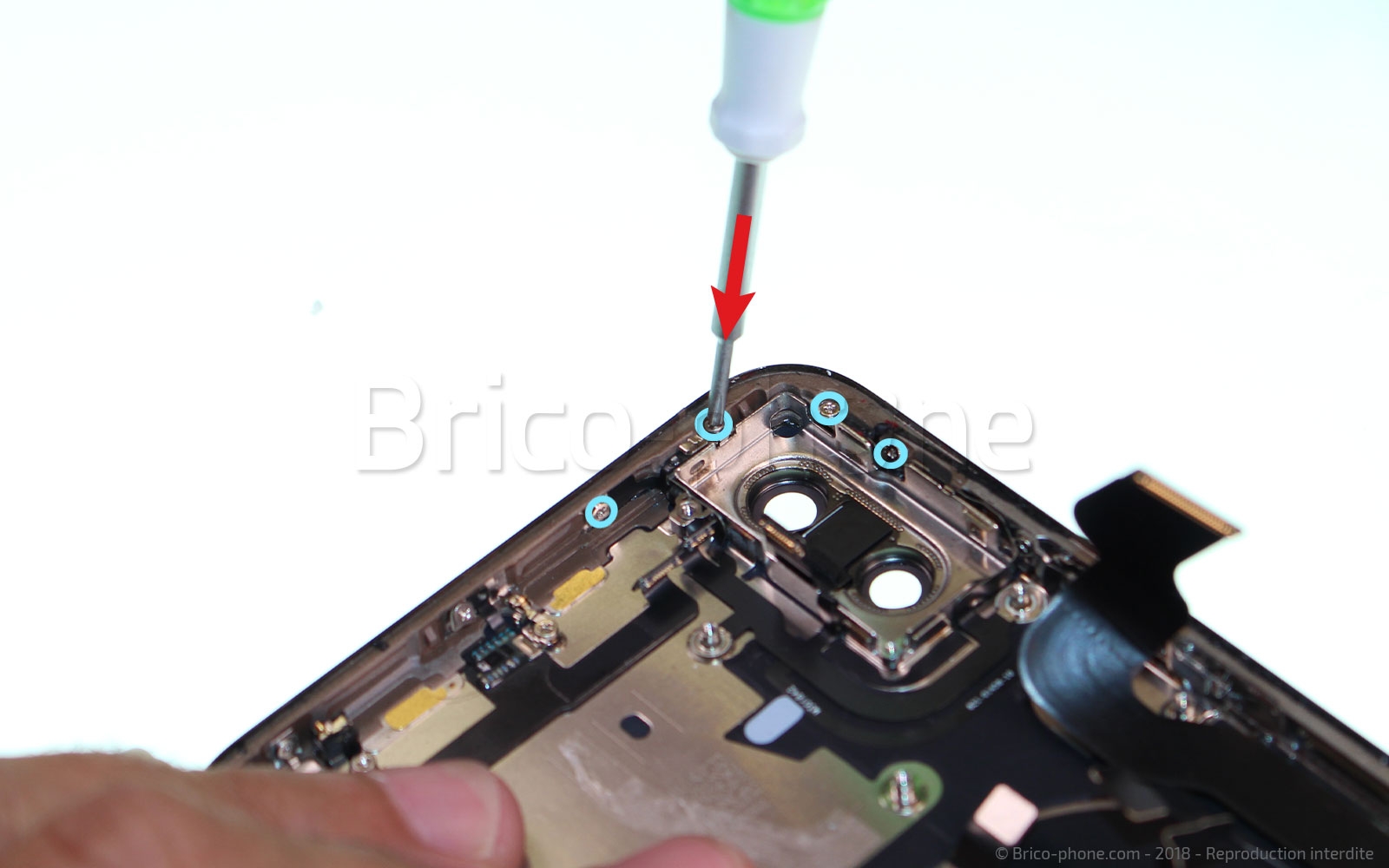 Démontage complet sur iPhone XS Max photo 1