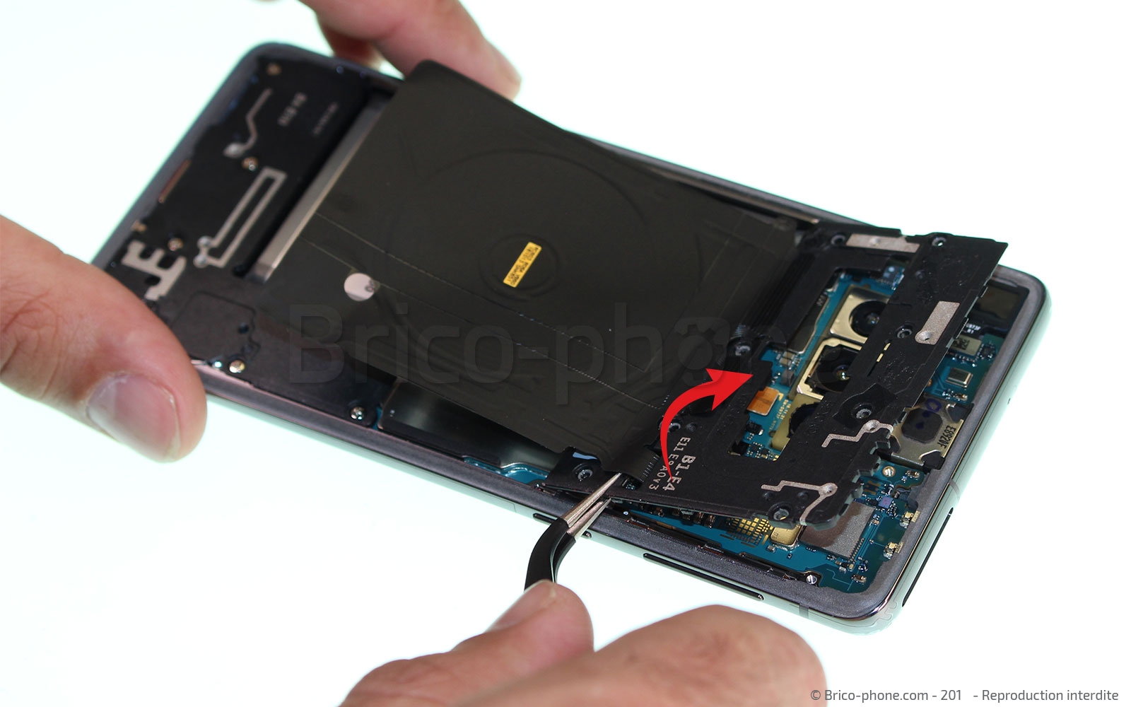 Démontage complet sur Galaxy S10 photo 3