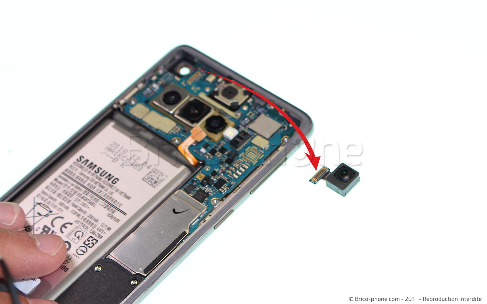 Démontage complet sur Galaxy S10 photo 3