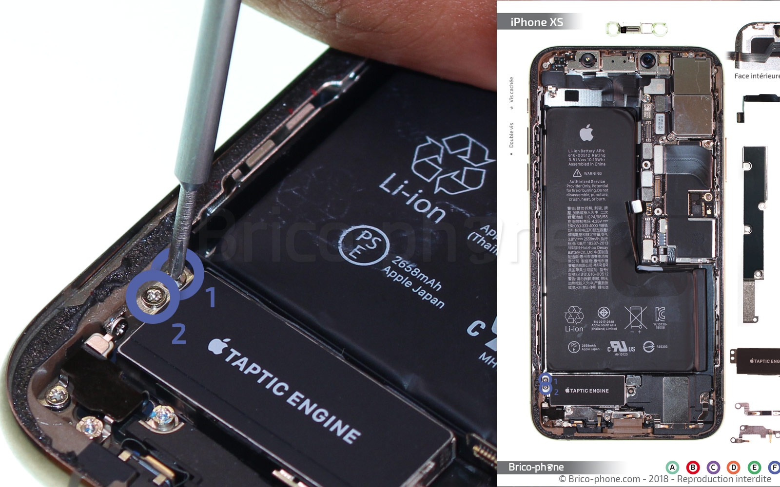Démontage complet sur iPhone XS photo 1