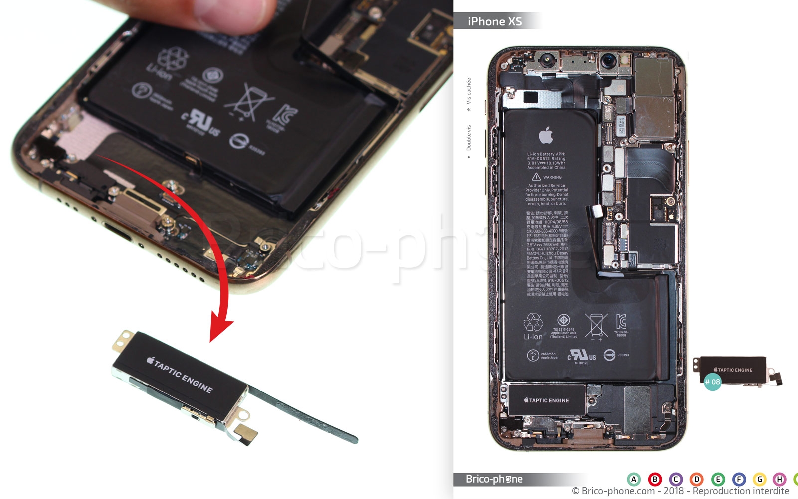 Démontage complet sur iPhone XS photo 4
