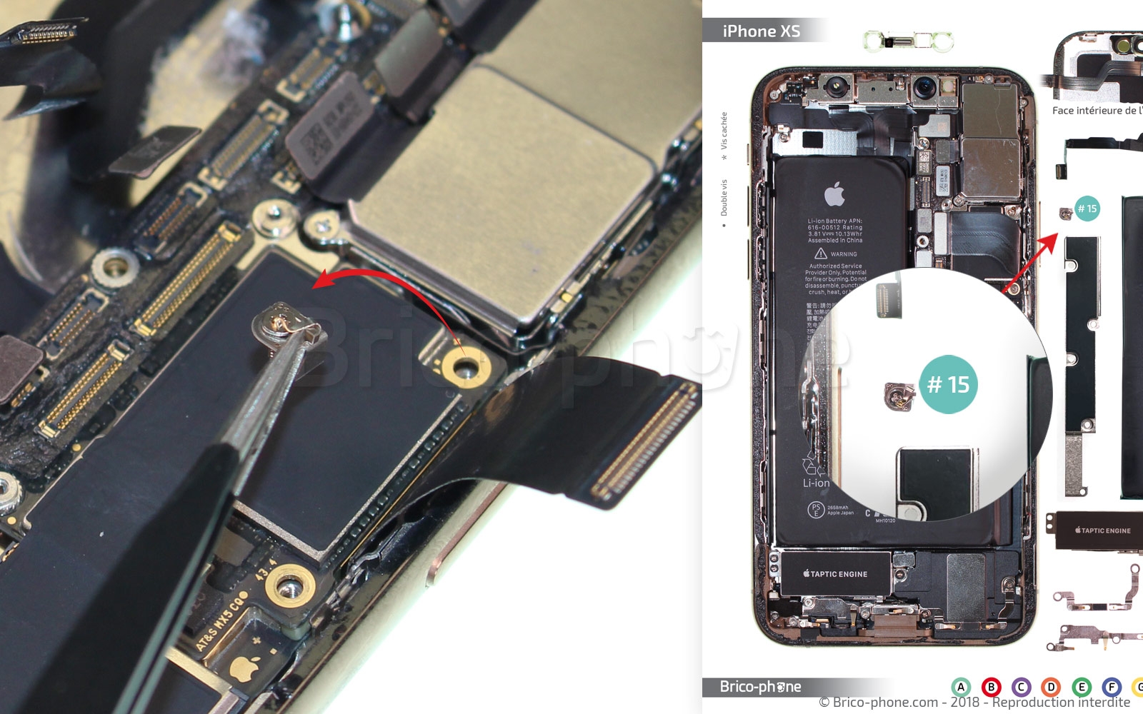 Démontage complet sur iPhone XS photo 3