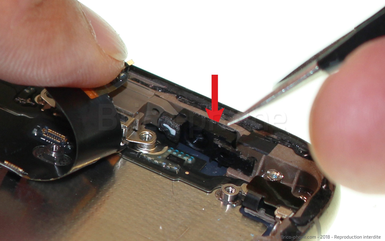 Démontage complet sur iPhone XS photo 3