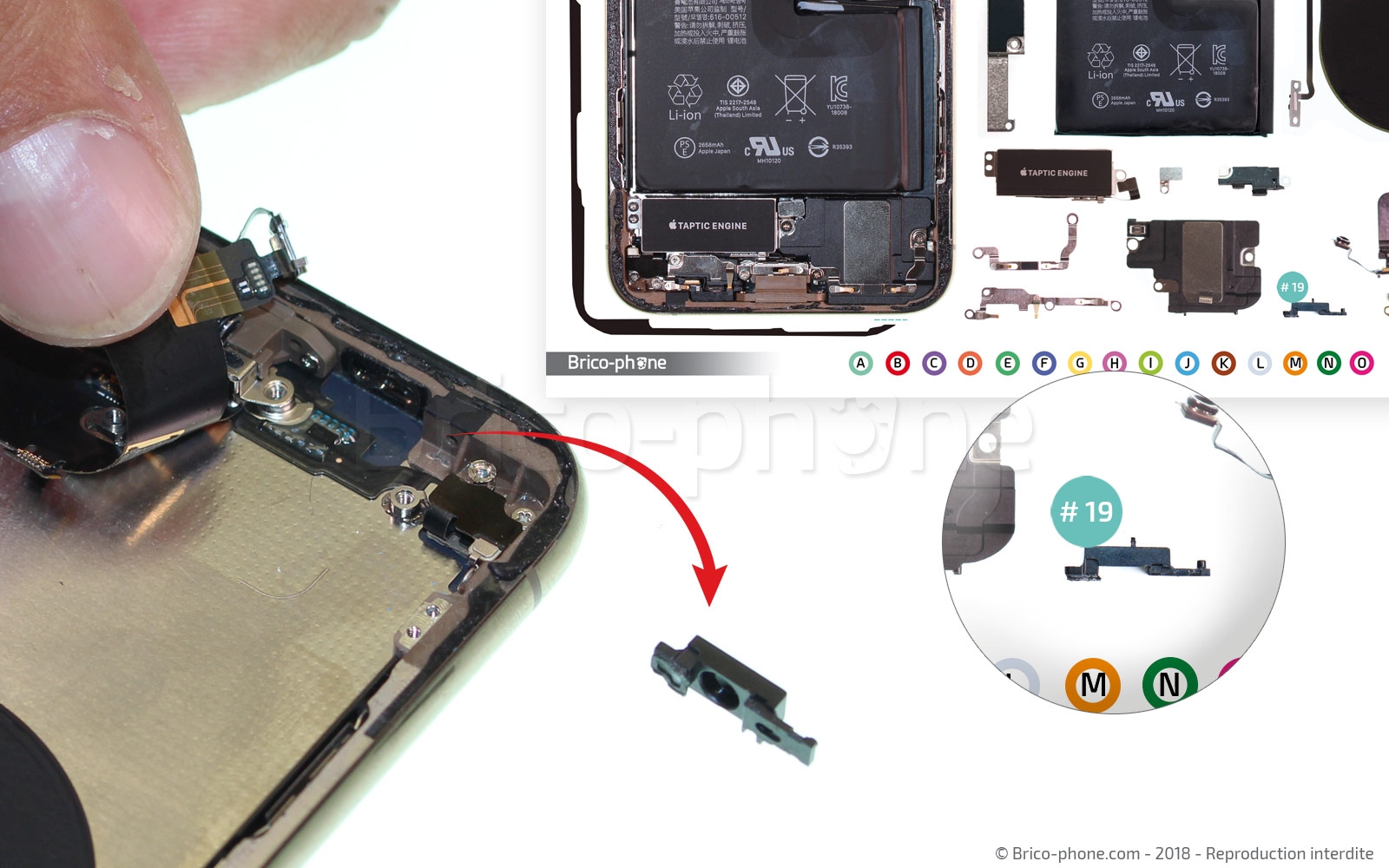 Démontage complet sur iPhone XS photo 4