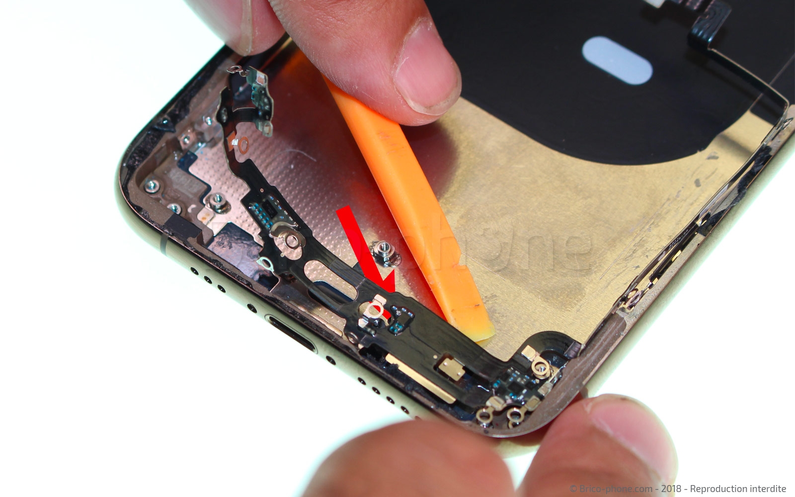 Démontage complet sur iPhone XS photo 2