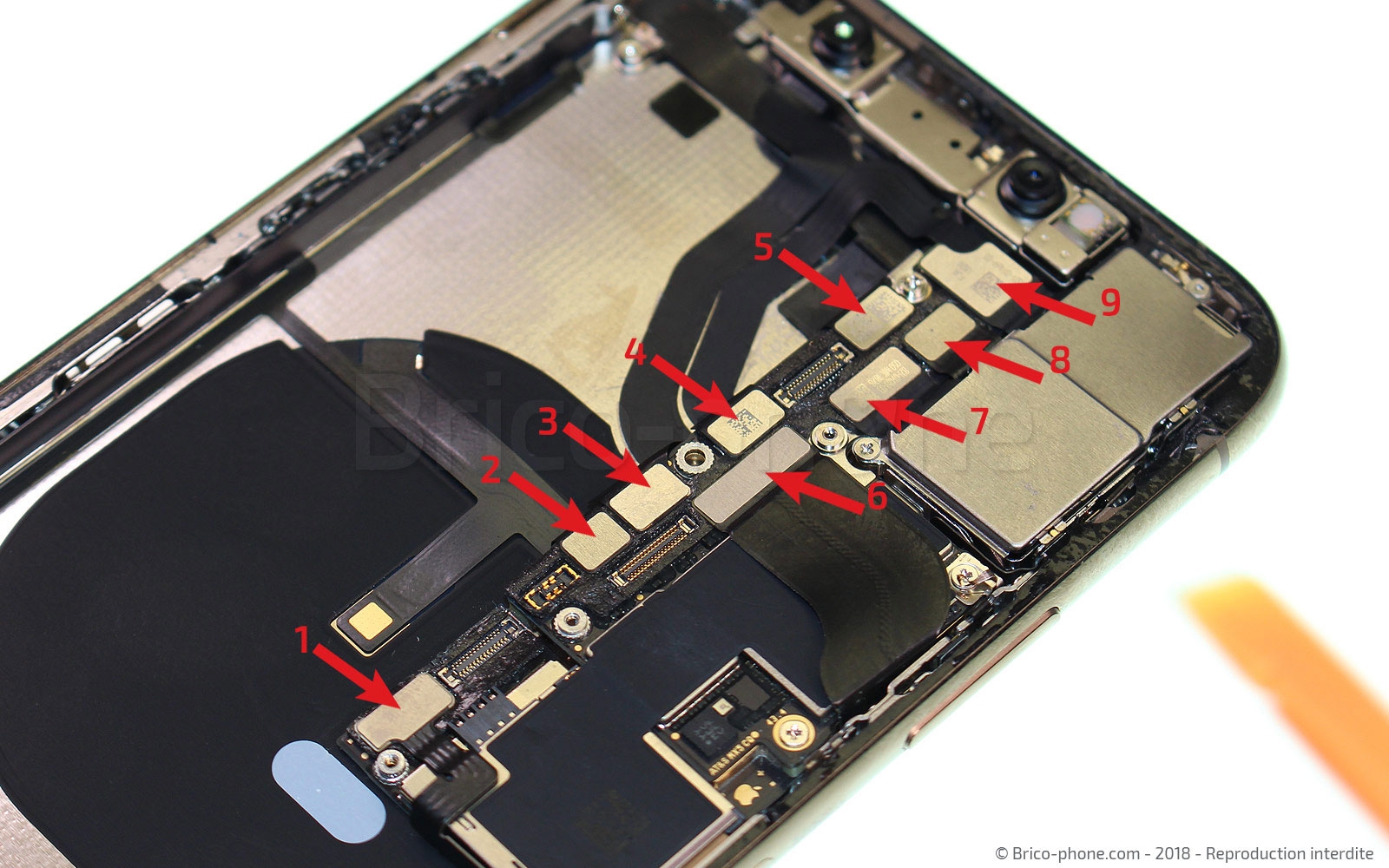 Démontage complet sur iPhone XS photo 1