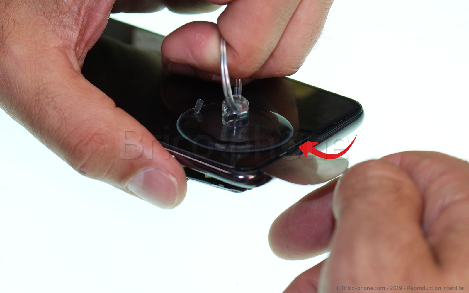 Démontage complet sur Mi 9 photo 2