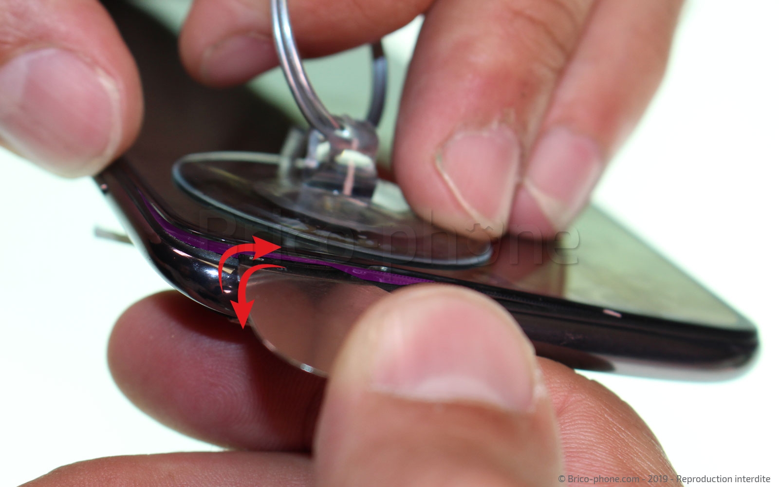 Démontage complet sur Mi 9 photo 3