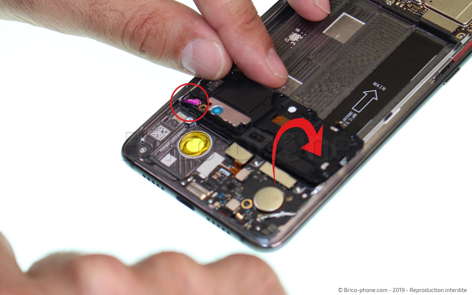 Démontage complet sur Mi 9 photo 2