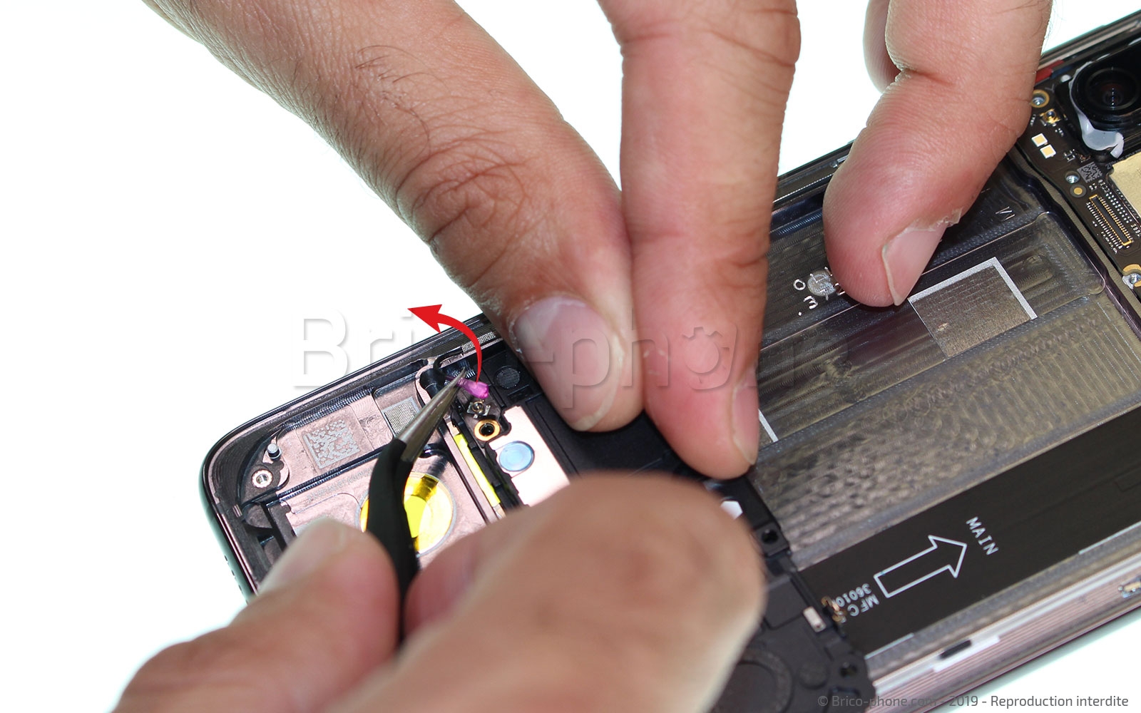 Démontage complet sur Mi 9 photo 3