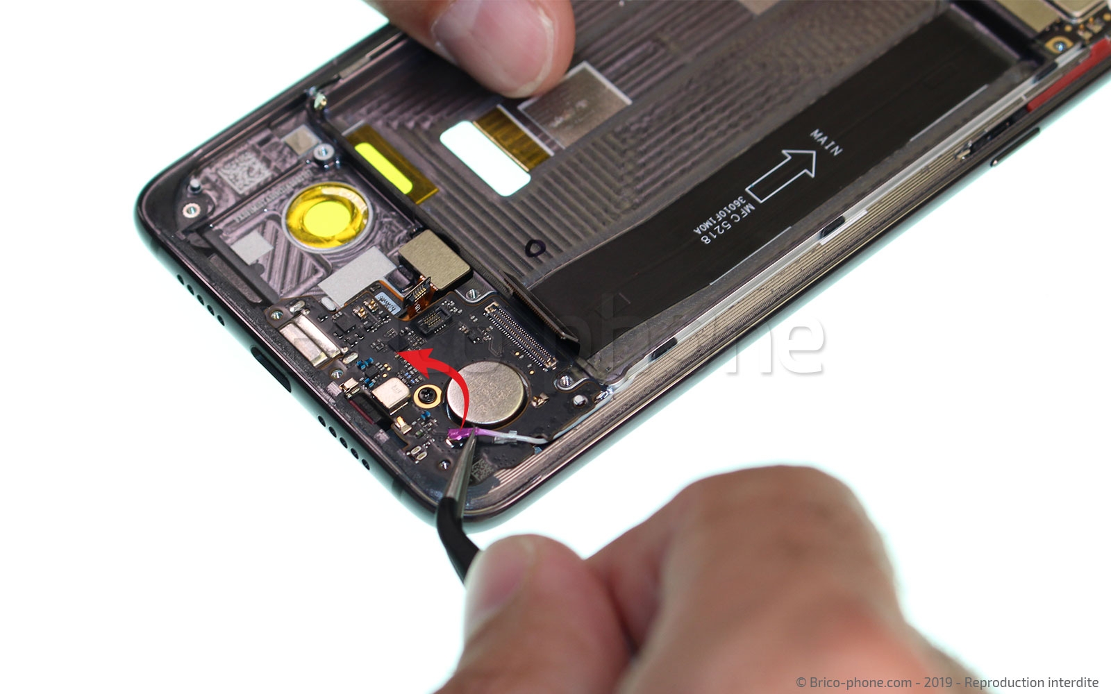 Démontage complet sur Mi 9 photo 3