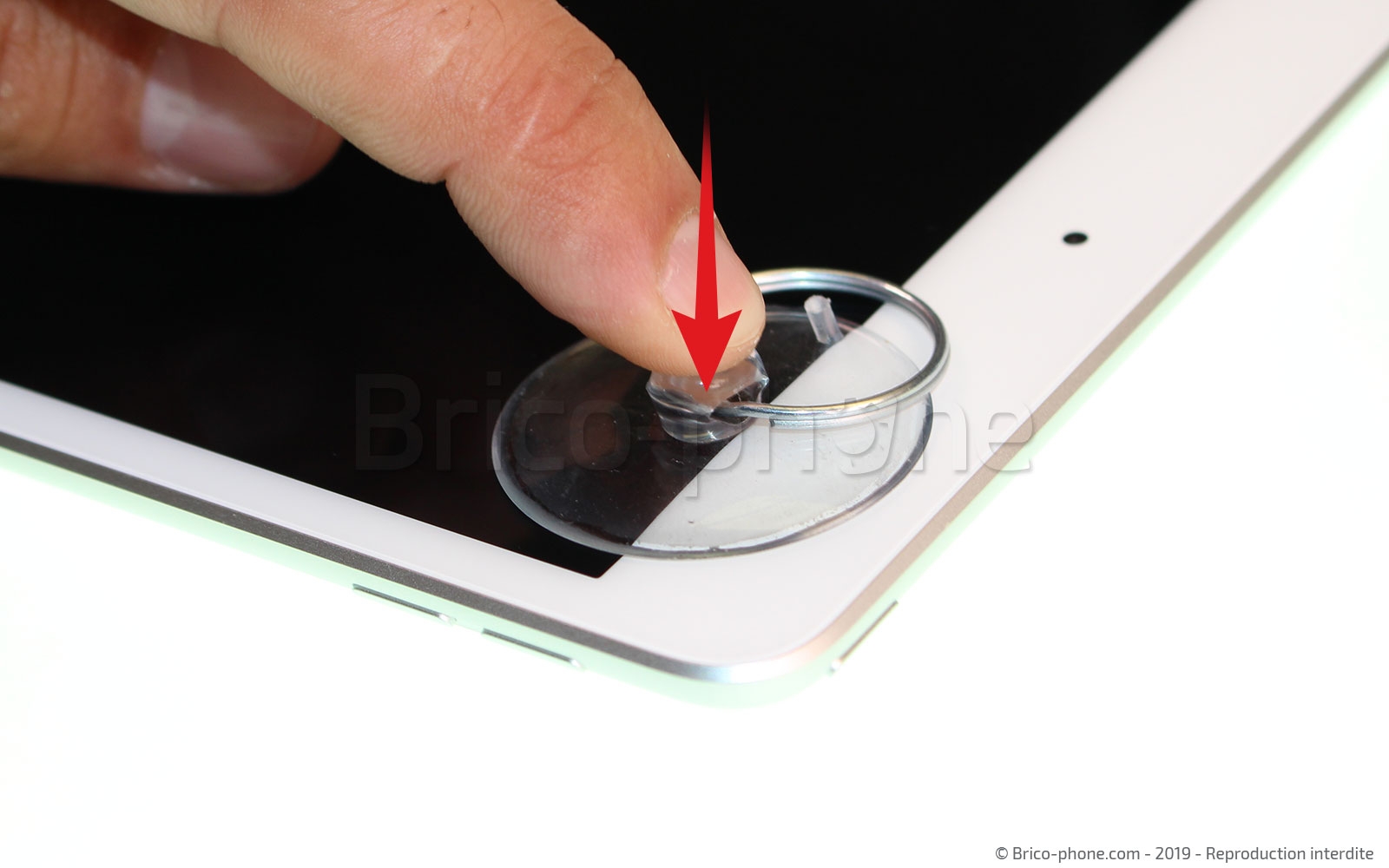 Démontage complet sur iPad Mini 5 photo 1