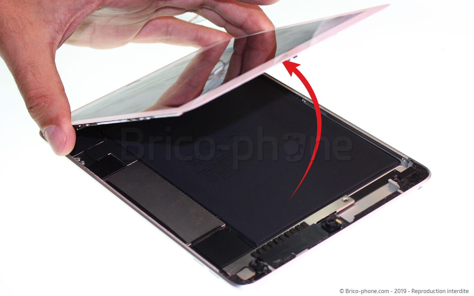 Démontage complet sur iPad Mini 5 photo 2