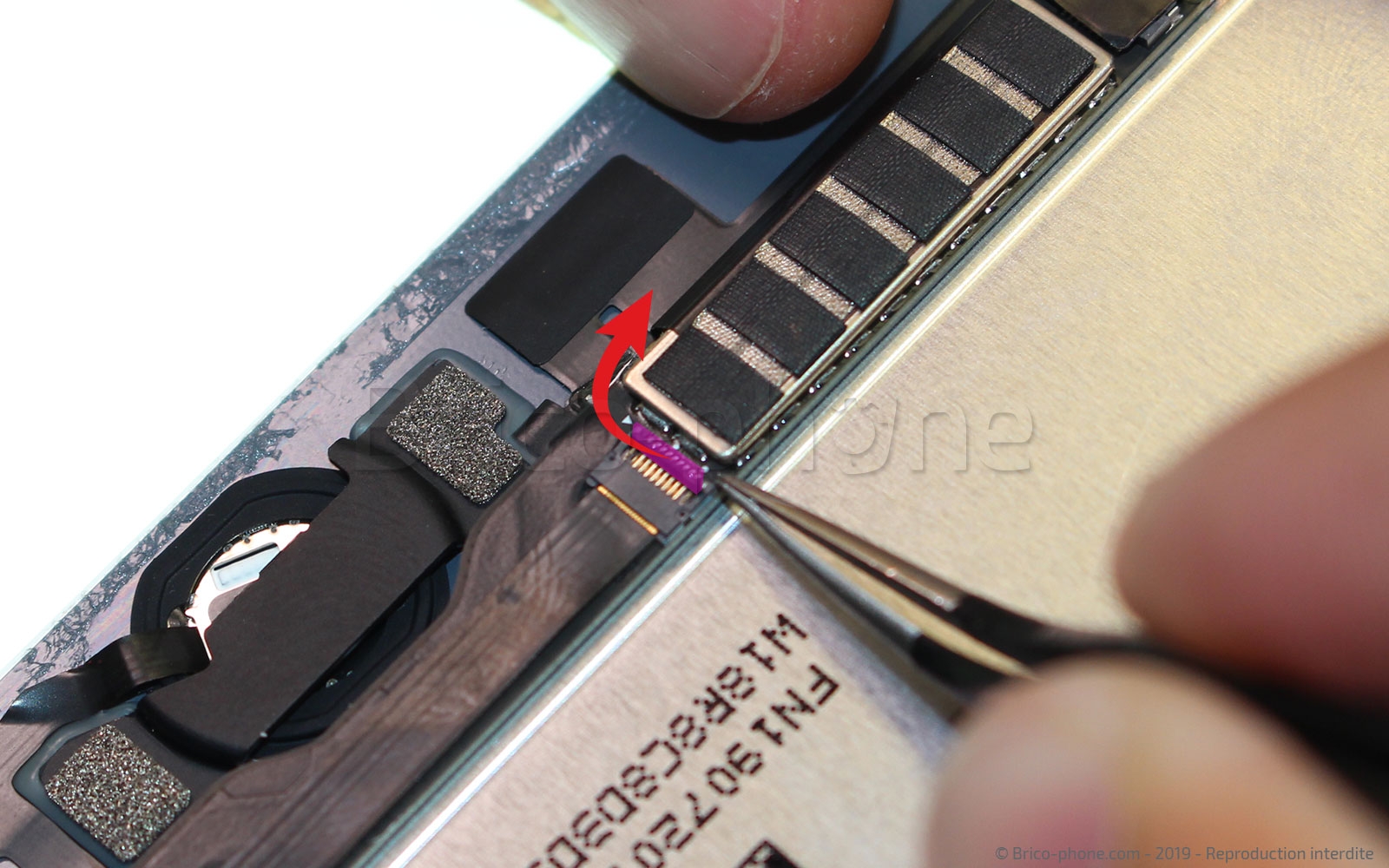 Démontage complet sur iPad Mini 5 photo 2