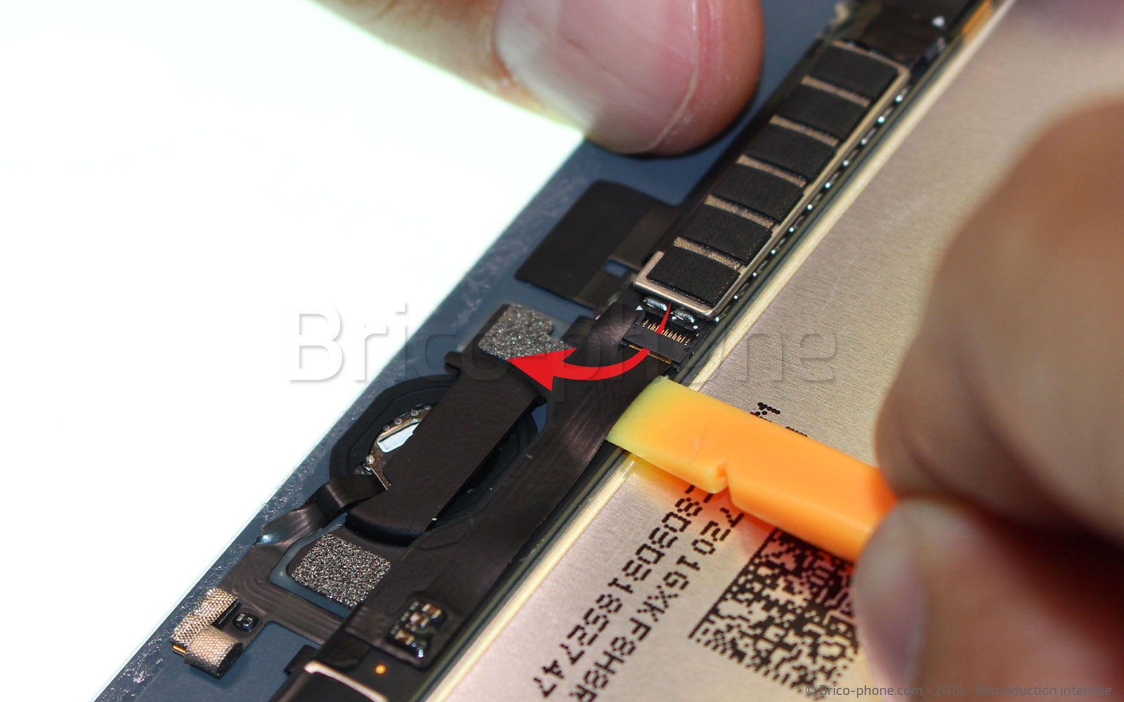 Démontage complet sur iPad Mini 5 photo 3