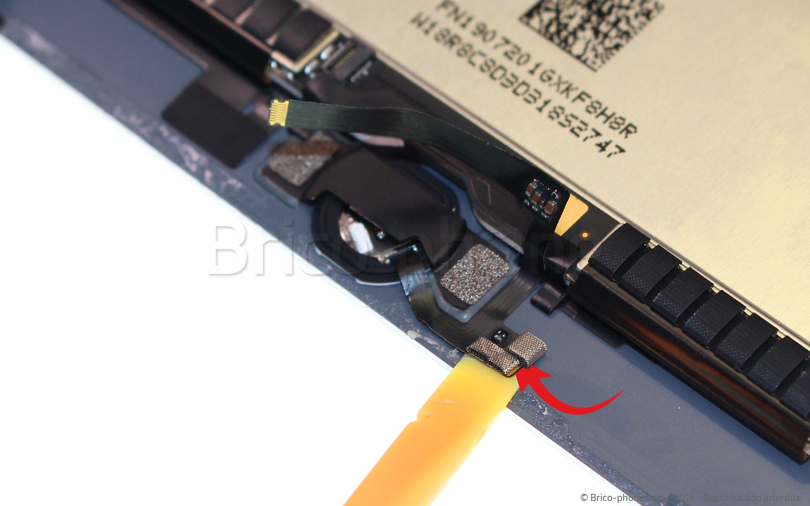 Démontage complet sur iPad Mini 5 photo 3