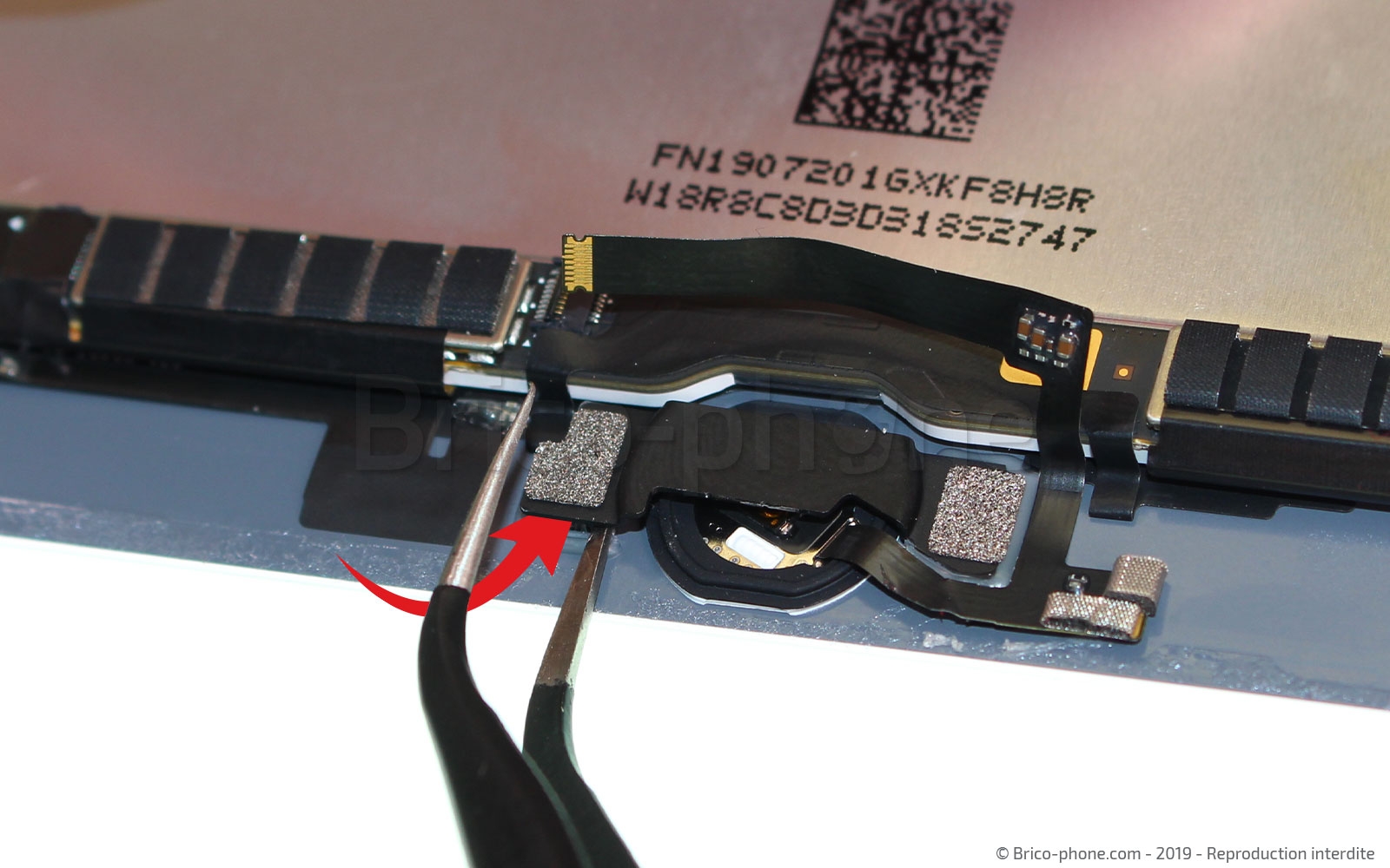 Démontage complet sur iPad Mini 5 photo 1