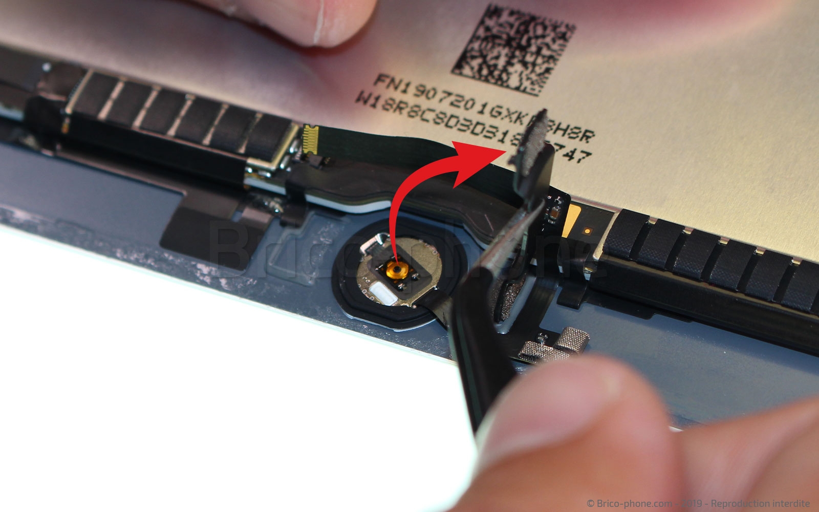 Démontage complet sur iPad Mini 5 photo 2