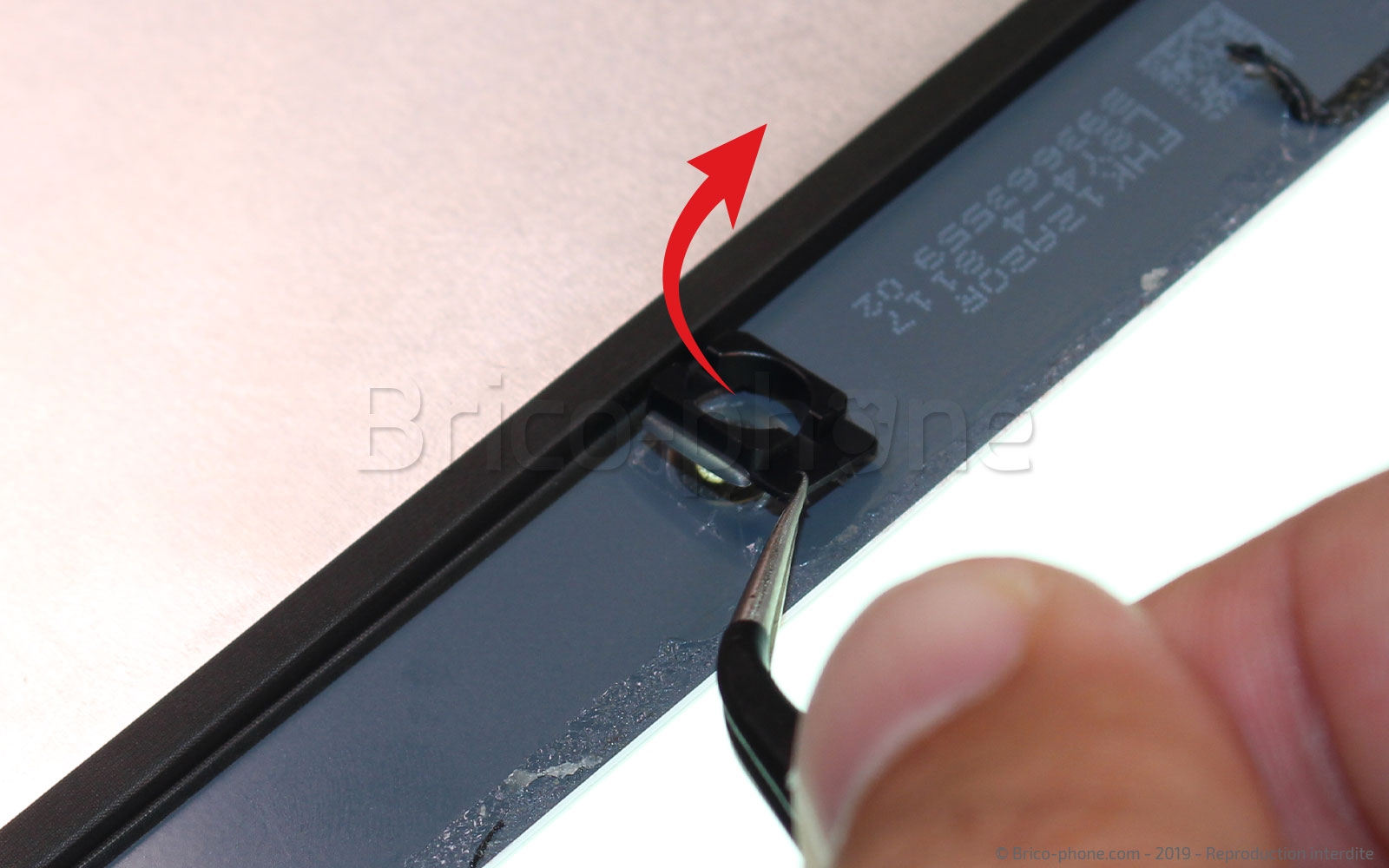 Démontage complet sur iPad Mini 5 photo 2