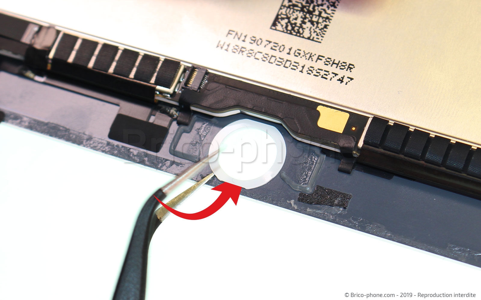 Démontage complet sur iPad Mini 5 photo 3