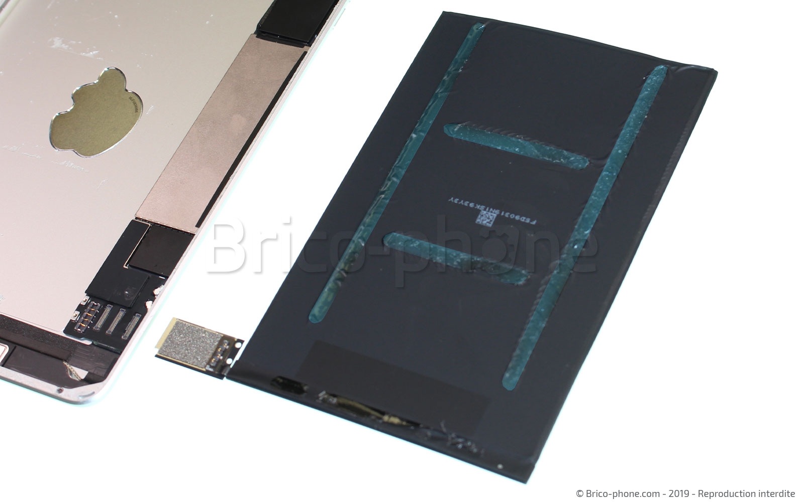 Démontage complet sur iPad Mini 5 photo 4