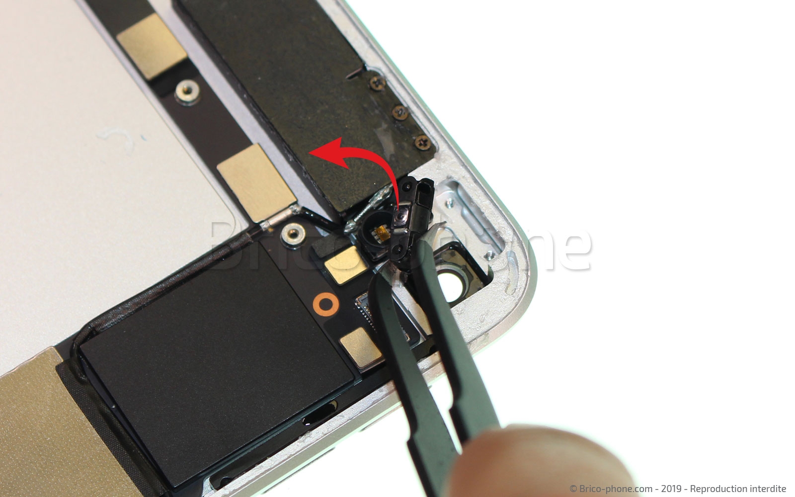 Démontage complet sur iPad Mini 5 photo 3